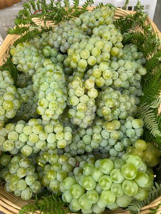 走出云南这个市场得花多少钱