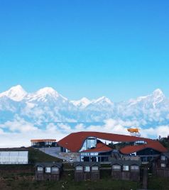 牛背山景区游记图文-独孤游记：牛背山，一处不能“说走就走”的旅行圣地