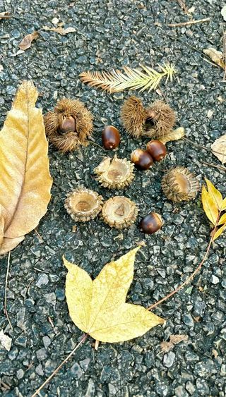 🍂昆明秋日封神攻略!翠湖旁这家酒店藏着全网都在找的浪漫~