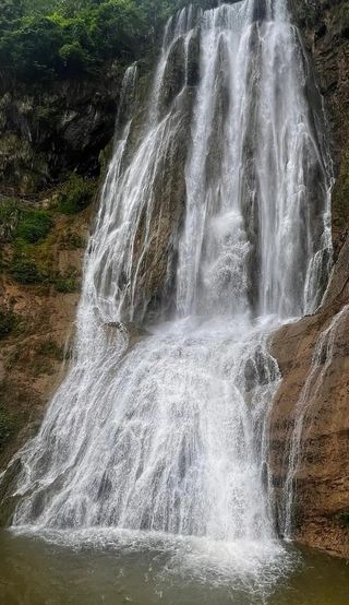 东瞻海似杯，轻鸥逆浪飞