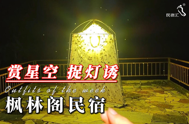 "喇叭沟门枫林阁民宿：沉浸在枫叶的海洋，体验自然与宁静的完美融合"