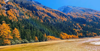 秋天咱们相约川西康定莲花湖拍摄红叶彩林