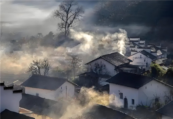 开门见“财”!卡玛邀南山乡亲免费入园,一起捡“柴”回家!