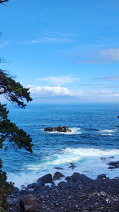 伊豆半岛游记图文-伊豆的山横滨的水银座的物-小记2025年国庆之旅