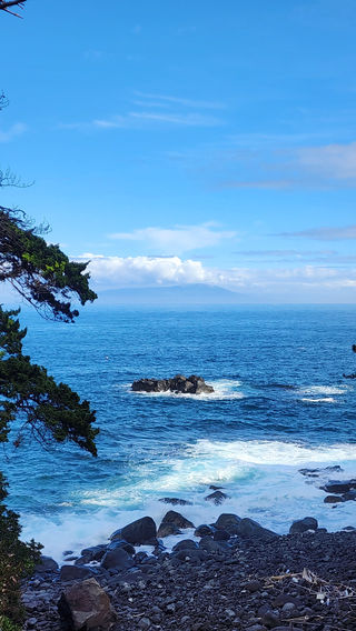 伊豆的山横滨的水银座的物-小记2025年国庆之旅