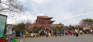 2023北京自驾滇桂黔:赏花之旅08:大理古城