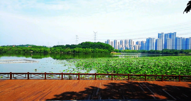 湖光山色空气清新 景点名称赋有诗意 在最美自行车赛道赏景健身