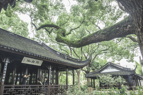 上海醉白池公园（三）
