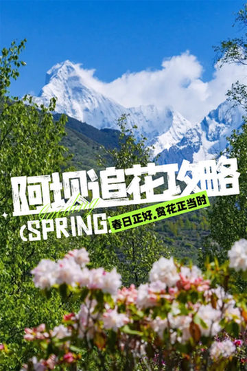 春天的阿坝，是一万次的春和景明