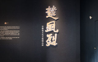 楚风烈安徽楚文化文物精品展