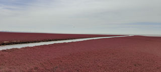 秋分红海滩，火出热情、红出浪漫！