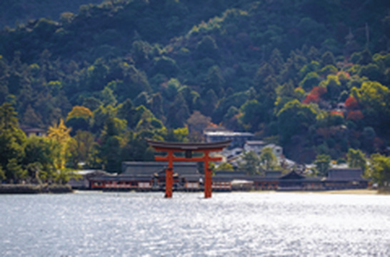 广岛县游记图片] 【广岛】一年四季都美如画的广岛，不止有严岛神社