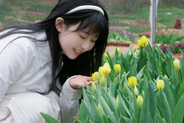 春日限定,昭化赏花攻略在这里!