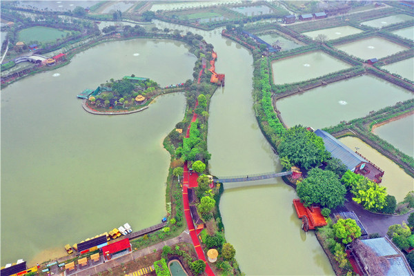   租只小艇游览岭南水乡美景，佛山市民流行水上自由行