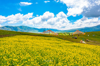 自驾青甘大环线,发现宝藏目的地:青海湟源
