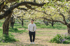 宿州游记图片] 安徽小众踏青游，一起走进宿州这座历史文化名城