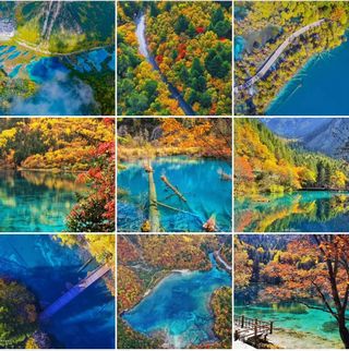 10月至11月秋天带你去九寨黄龙黑水奶子沟米亚罗奶子沟看红叶彩林之旅