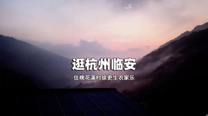 浙西大峡谷度假区游记图文-杭州临安桃花溪村徐根生农家乐包吃住尝土蜂蜜-民宿汇