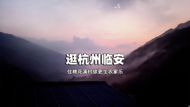 杭州临安桃花溪村徐根生农家乐包吃住尝土蜂蜜-民宿汇