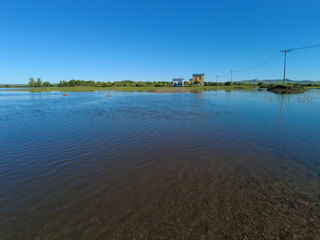 大清早在额尔古纳县城闲逛，一不小心撞见蓝色根河