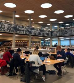 鹿特丹游记图文-鹿特丹伊拉斯姆斯大学初印象 （Erasmus University Rotterdam，EUR）