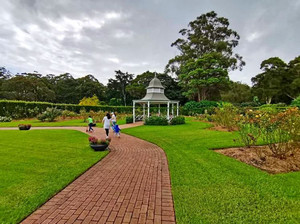 卧龙岗游记图文-雨天游卧龙岗植物园，安静得像一首清新的小诗