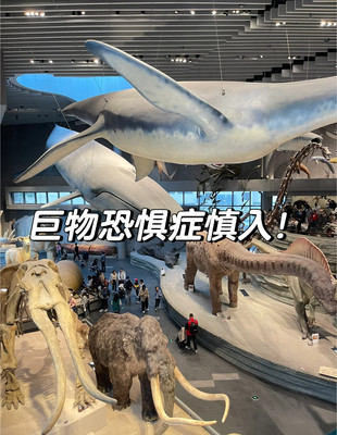 巨物恐惧症慎入！魔都的自然博物馆真有意思