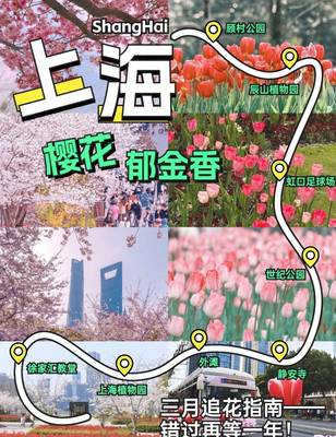 错过再等一年！上海3月追花指南一篇全知！