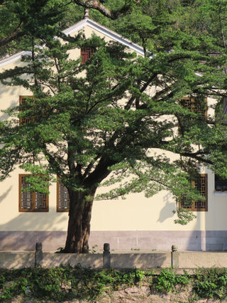 普陀|海天佛国三宝巡礼