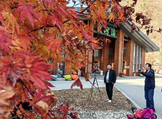 云游四海(1868)辽东枫叶行之四:大冰沟国家地质森林公园