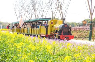 春游江淮 | 花漾芜湖春日之约圆满落幕！这份浪漫回顾请查收→