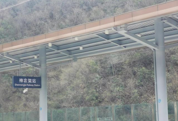 神秘的湖北神农架原始森林，既然没有野人，为何深处至今不让进？