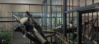 川西滇西北，小两口新婚蜜月自驾之旅