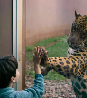 福斯－杜伊瓜苏游记图文-暑期亲子游推荐 | 解锁伊瓜苏市的家庭旅行玩法