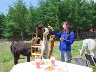 暑假自驾京北草原3天2晚怎么玩，很适合亲子玩的攻略整理好了