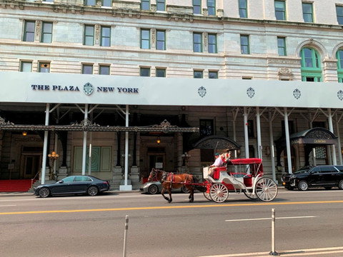 中央公园跑马车