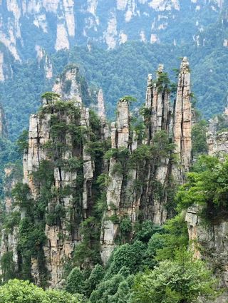 【索道上百龙天梯下】天子山+袁家界一日游