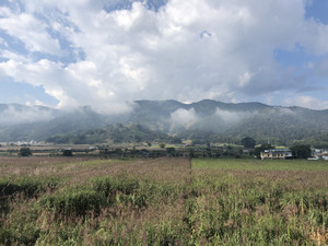 澜沧游记图文-西双版纳七日骑行—第2天 勐阿镇-澜沧县惠民镇