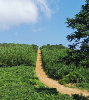 老余杭地区游记图文-杭州登山线路之卅二：王位山行迹