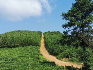 杭州登山线路之卅二：王位山行迹