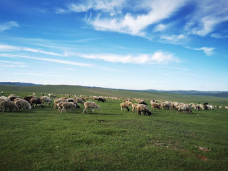 2023年8月下旬，内蒙之行