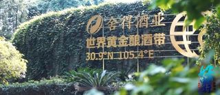 地表ZUI美酒厂!四川必打卡“仙境”:美景美食,还有经典名酒