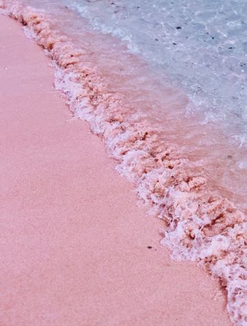 印尼奇幻小众游-探险科莫多-悠闲巴厘-宗教日惹