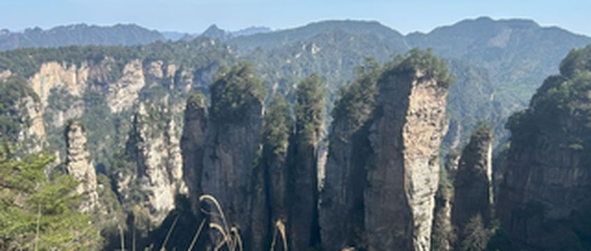 3月火车游览长沙韶山张家界攻略