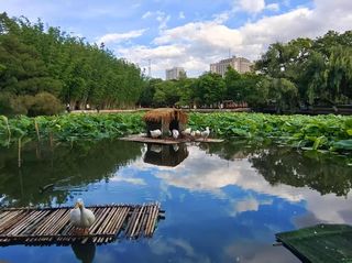 锁定翠湖C位!昆明丽瑞德酒店,在云端泳池私藏一整片落日浪漫!🌇