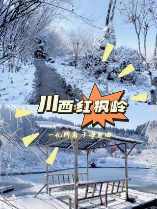 四川之行：一段充满色彩与诗意的旅程