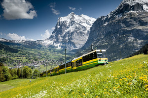 格林德瓦游记图文-瑞士夏日最美小镇避暑游，City不City啊？