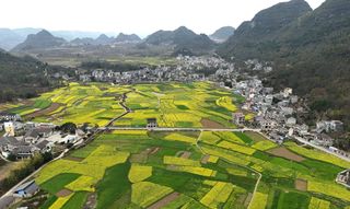 乡游黔中· 贞丰县 永丰街道丨千树李花白似雪，山水相逢醉布依