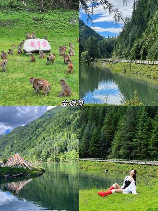 暑假反向旅游太爽了，被严重低估的宝藏地