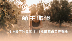 蓟州旅游度假区游记图片] 蓟县梨木台聚闲居农家民宿拥有自己的农场和百亩果蔬园沉浸式体验